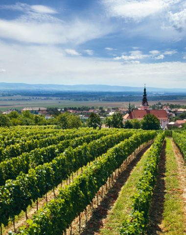 Vinařská podoblast Slovácko